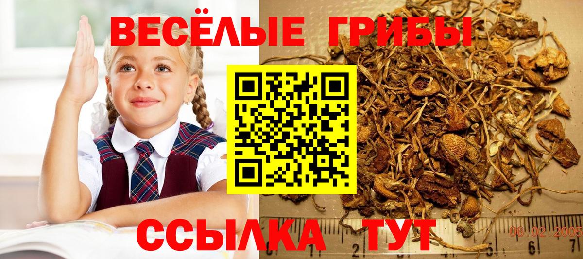 Меф Юрга
