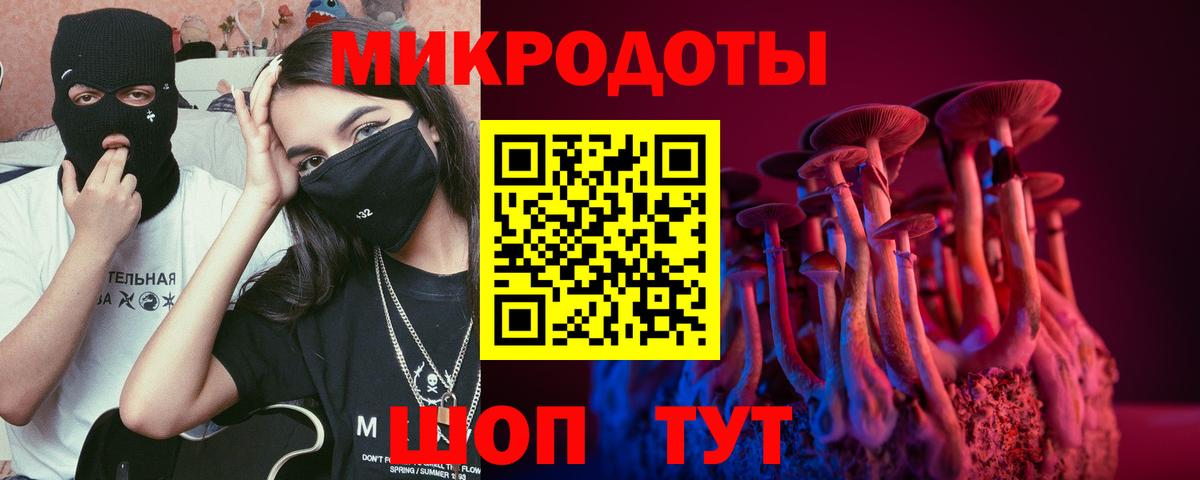 Юрга  Псилоцибиновые грибы мухоморы  Вход с VPN  Псилоцибиновые грибы Cubensis 